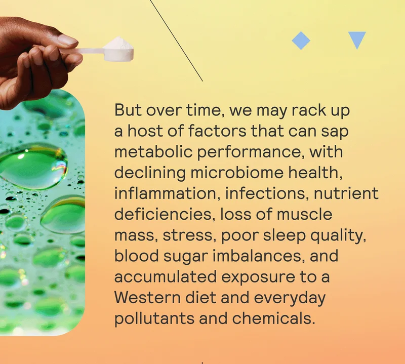 But over time, we may rack up a host of factors that can sap metabolic performance,with declining microbiome health, inflammation, infections, nutrient deficiencies, loss of muscle mass, stress, poor sleep quality, blood sugar imbalances, and accumulated exposure to a Western diet and everyday pollutants and chemicals.
