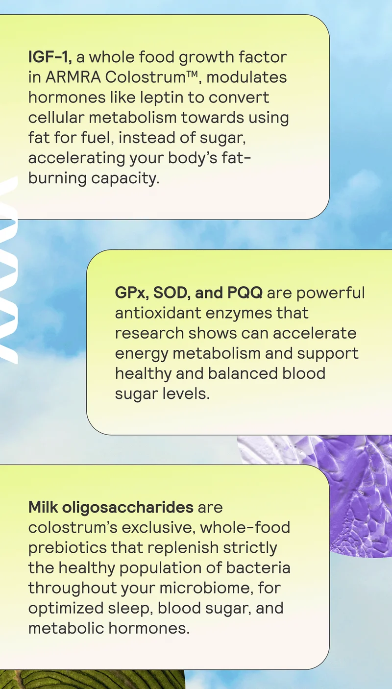 IGF-1, a whole food growth factor in ARMRA Colostrum™, modulates hormones like leptin to convert cellular metabolism towards using fat for fuel, instead of sugar, accelerating your body’s fat-burning capacity.  TGF-b and the immune-modulating bioactive, lactoferrin, support joint health and mobility, so you can maintain movement and muscle composition for a healthy, sparked metabolism.  Milk oligosaccharides are colostrum’s exclusive, whole-food prebiotics that replenish strictly the healthy population of bacteria throughout your microbiome, for optimized sleep, blood sugar, and metabolic hormones.