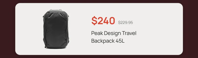 Peak Design Travel Backpack 45L