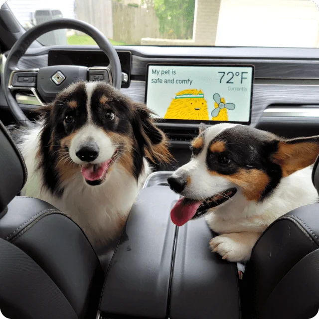 Pet Comfort