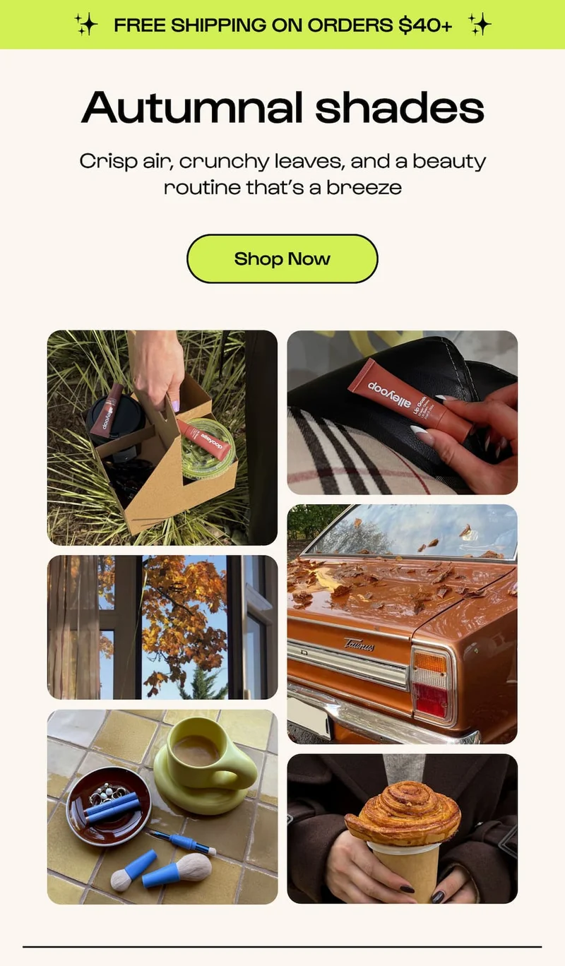 Shop Now
