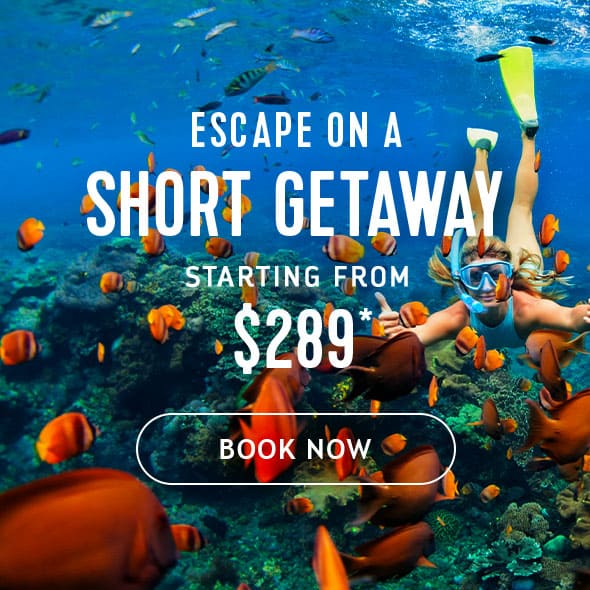 ESCAPE ON A SHORT GETAWAY