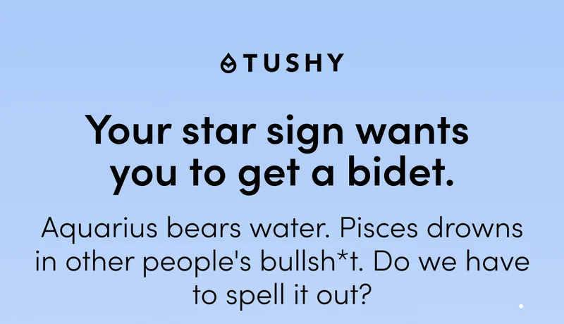 SHOP TUSHY