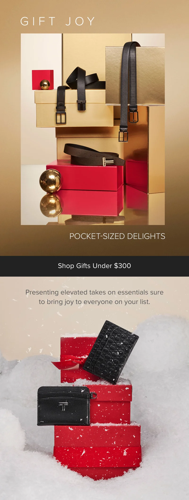 Shop Gifts Under $300
