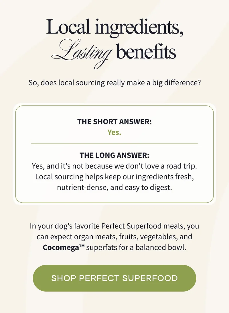 Local Ingredients, Lasting Benefits  | So, does local sourcing really make a big difference?  The short answer: Yes. The long answer: Yes, and it’s not because we don’t love a road trip. Local sourcing helps keep our ingredients fresh, nutrient-dense, and easy to digest. | In your dog’s favorite Perfect Superfood meals, you can expect organ meats, fruits, vegetables, and Cocomega™ superfats for a balanced bowl. | SHOP PERFECT SUPERFOOD