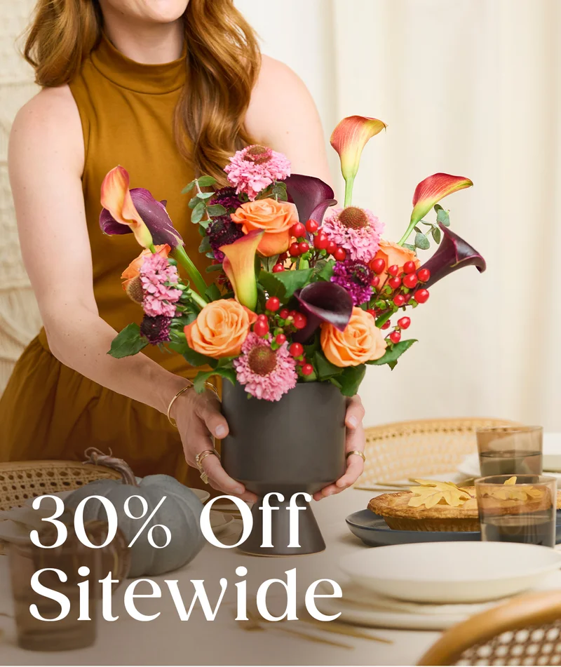 30% Off Sitewide