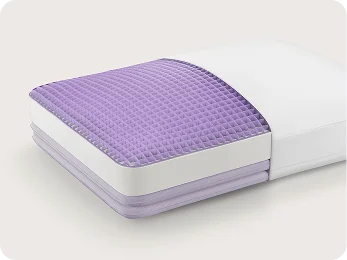 DreamLayer<sup style='font-weight:normal;font-size:70%;line-height:1px;'>®</sup> Pillow