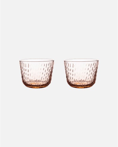 Syksy glass tumblers, set of 2
