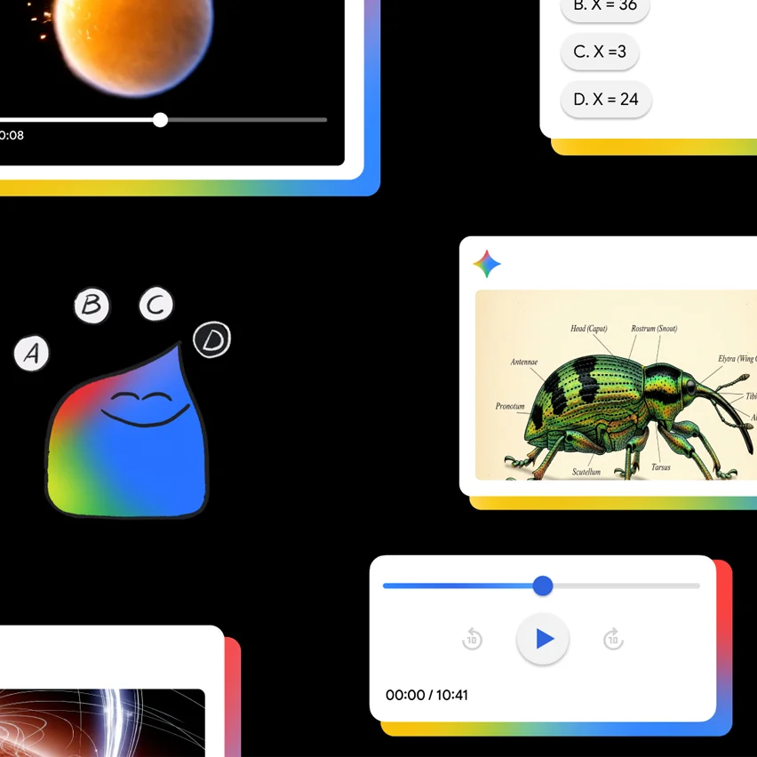 Five interactive cards showing two videos, a math question, a rainbow blob, and a weevil diagram.