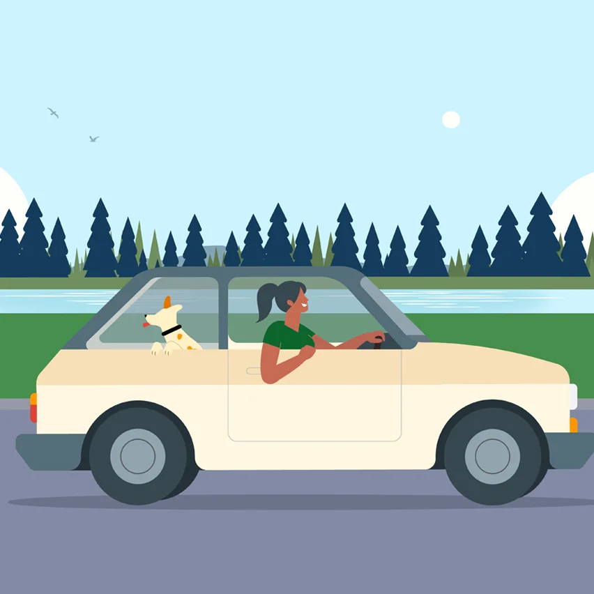 Woman drives yellow car; dog's head out window. Lake, forest, clear sky.