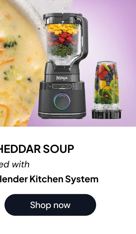 Ninja Detect™ Kitchen System Power Blender