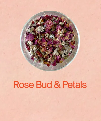 Rose bud