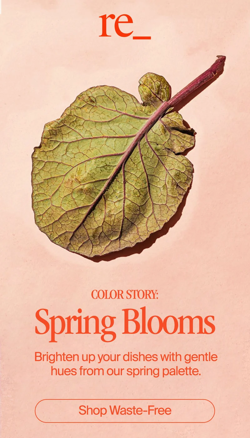 Color Story: Spring Blooms