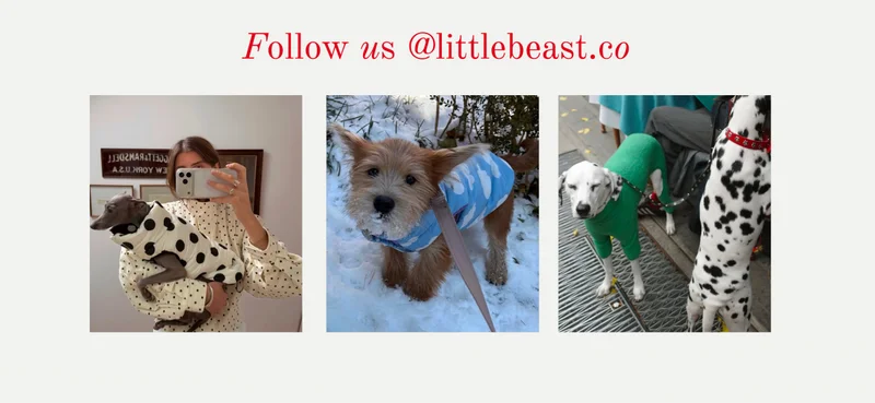 Follow us on Instagram