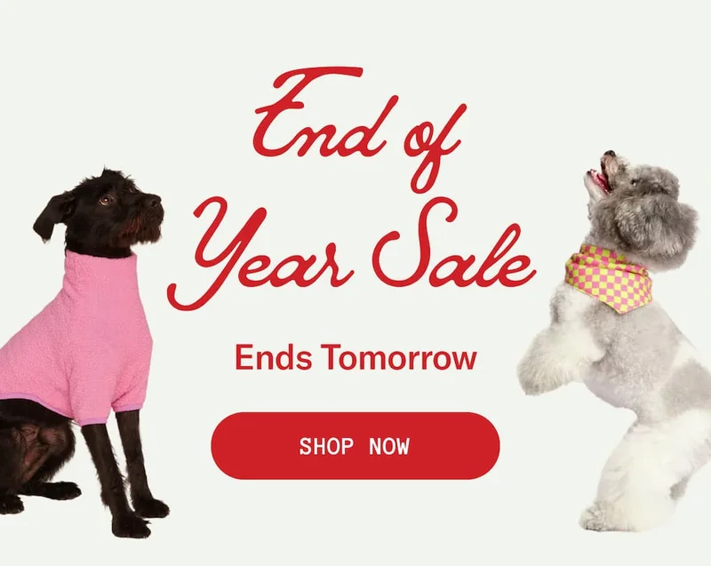 End of Year Sale