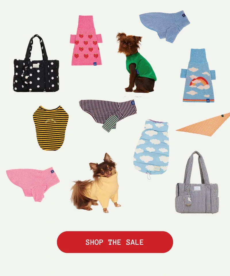 Shop the Sale