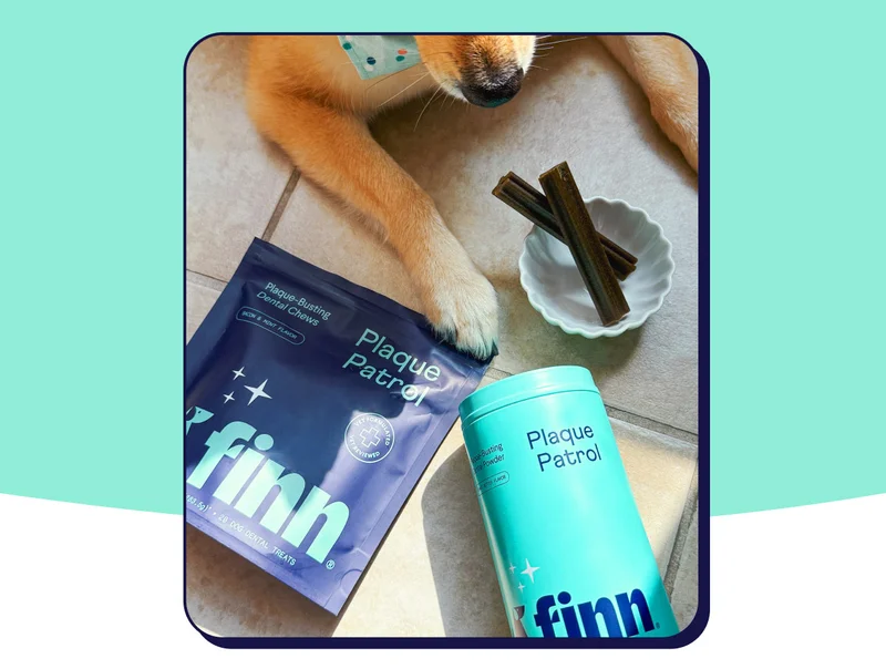 UGC of dog laying down on tiled floor with Finn dental products surrounding