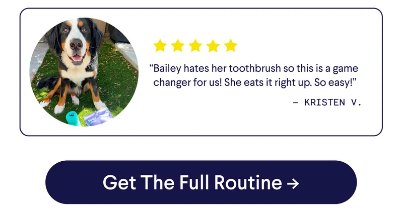 Review: “Bailey hates her toothbrush so this is a game changer for us! She eats it right up. So easy!” –&nbsp;Kristen V. UGC image of Bernese with dental powder and chews at its feet. CTA: Get the Full Routine