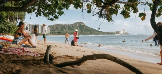 Plan a beach vacation.