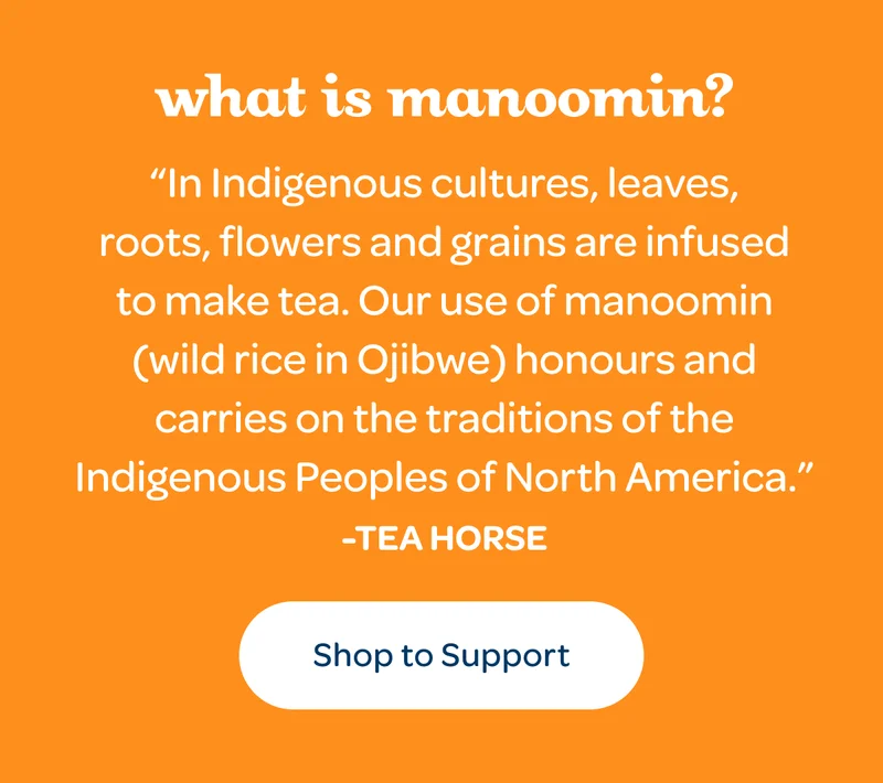 What is manoomin? - Our use of manoomin honours and carries on the traditions of the Indigenous Peoples of North America