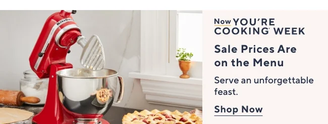 Black Friday Sale