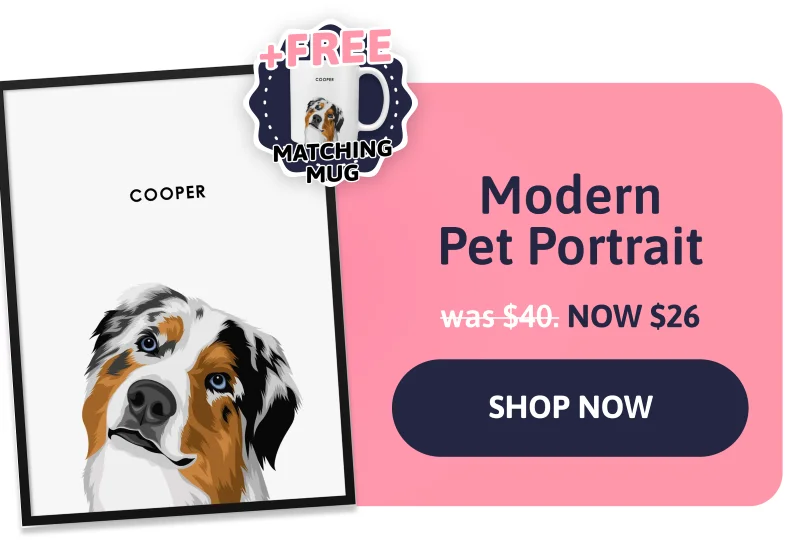 1) Modern Pet Portrait + FREE Mug was $40 NOW $30