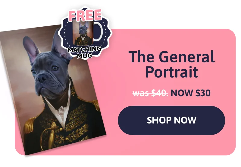 5) The General Portrait + FREE Mug was $40 NOW $30
