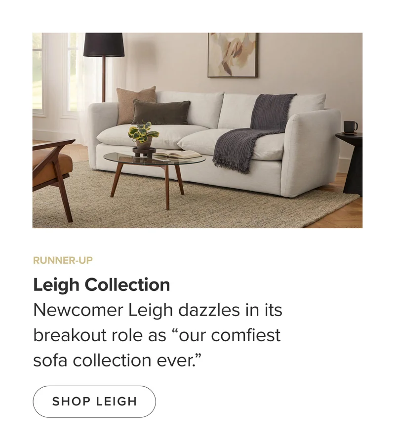 The Leigh at Article