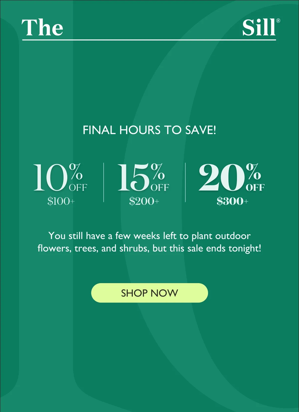 Up to 20% Off MASSIVE Plants. Instantly upgrade your home with an XL Fiddle Leaf Fig or an XL Olive Tree — or hey, why not get both? These rarely go on sale!