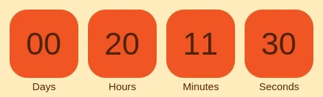 Timer from emailcountdowntimer.com