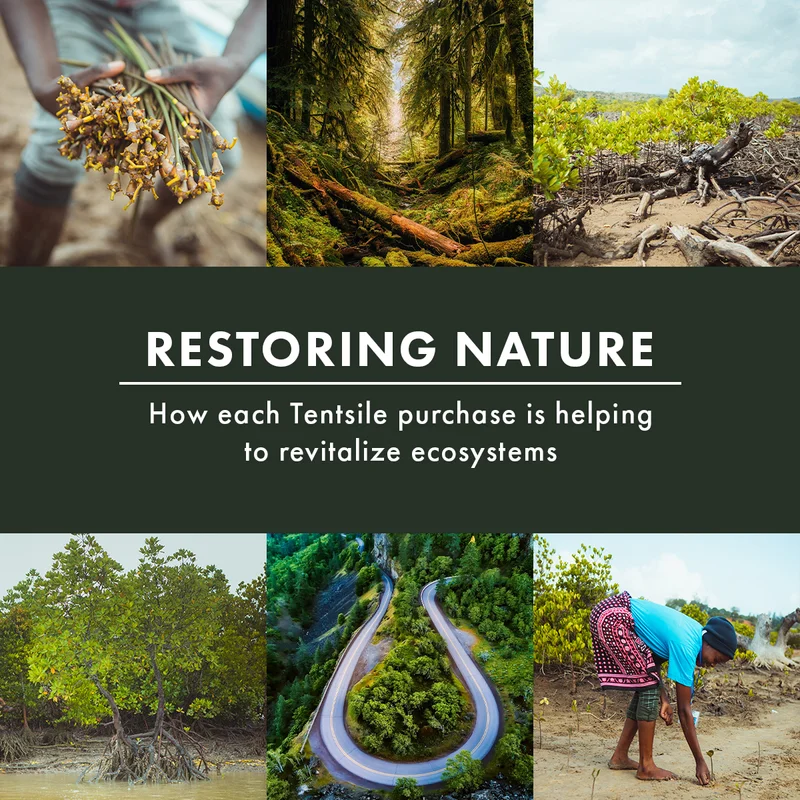 Restoring Nature