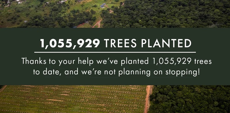 1,055,929 Trees Planted