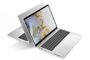 Two Dell Pro 16 Laptop computers arranged back-to-back on a gray background.