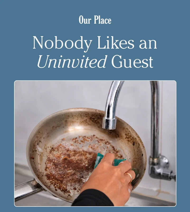 Our Place - Nobody Likes an Uninvited Guest