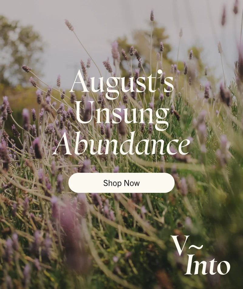 V~Into: August’s Unsung Abundance. Shop Now.