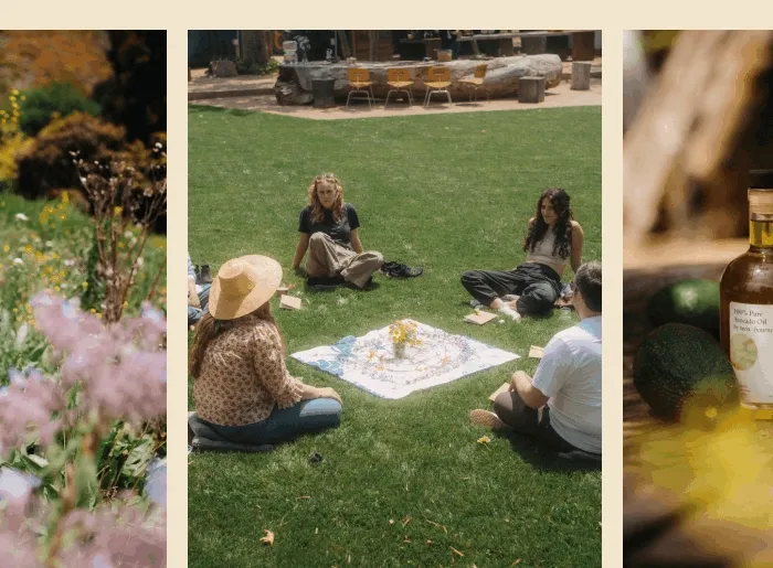 westbourne GIF