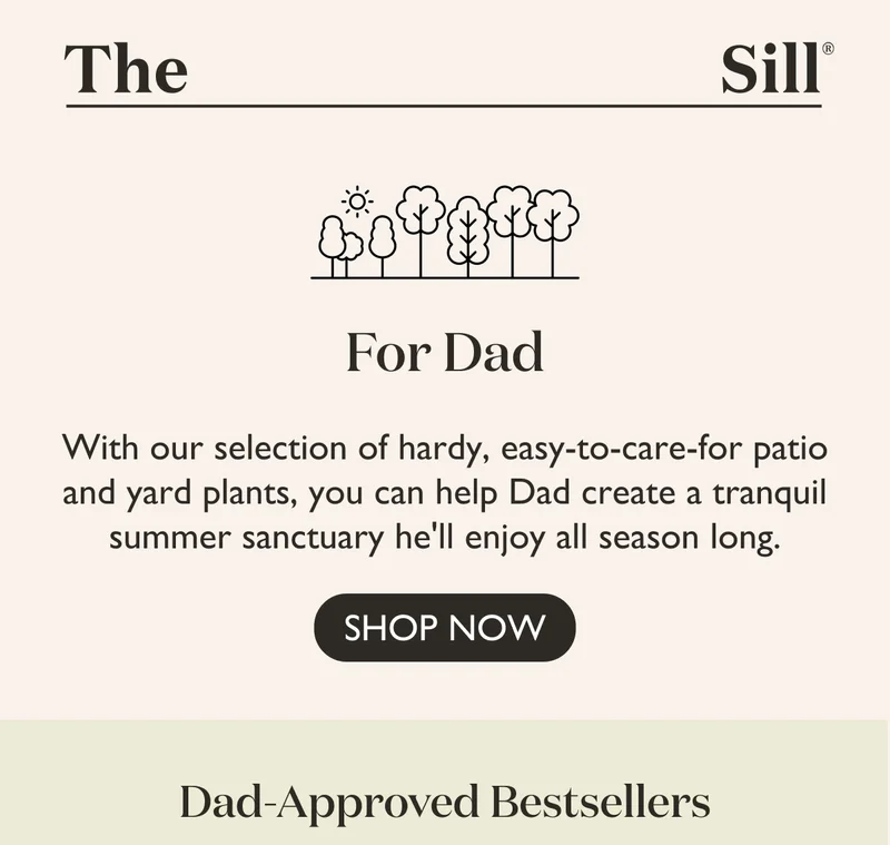 With our selection of hardy, easy-to-care-for patio and yard plants, you can help Dad create a tranquil summer sanctuary he'll enjoy all season long.