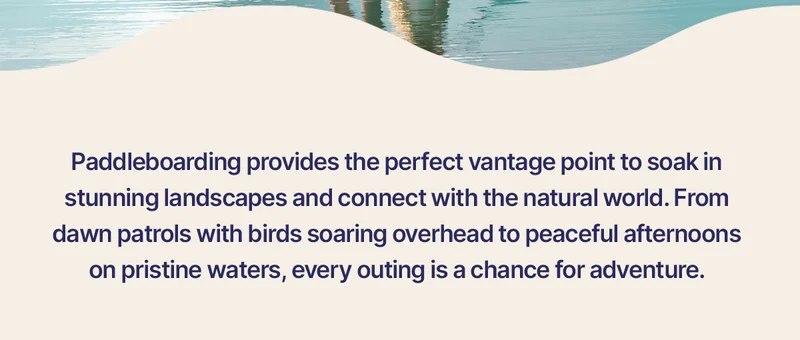Paddleboarding provides the perfect vantage point to soak in stunning landscapes and connect with the natural world.  From dawn patrols with birds soaring overhead to peaceful afternoons on pristine waters, every outing is a chance for adventure.
