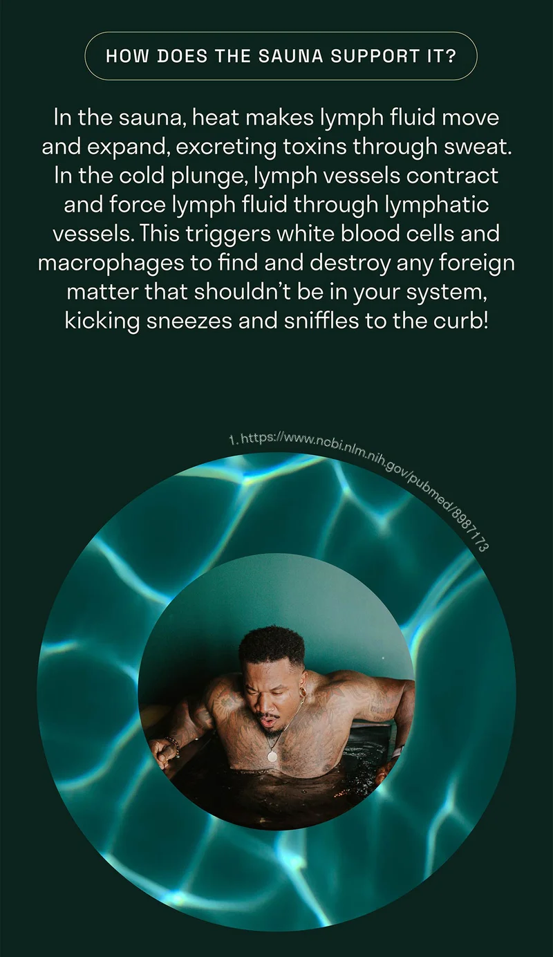 How does the sauna support it? In the sauna, heat makes lymph fluid move and expand, excreting toxins through sweat.