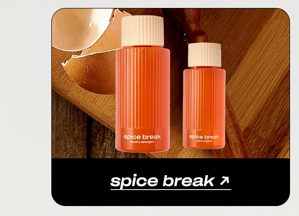 Shop Spice Break →