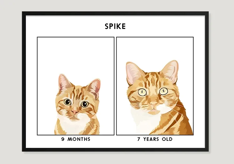 Then vs Now Portraits - 40% Off Today!