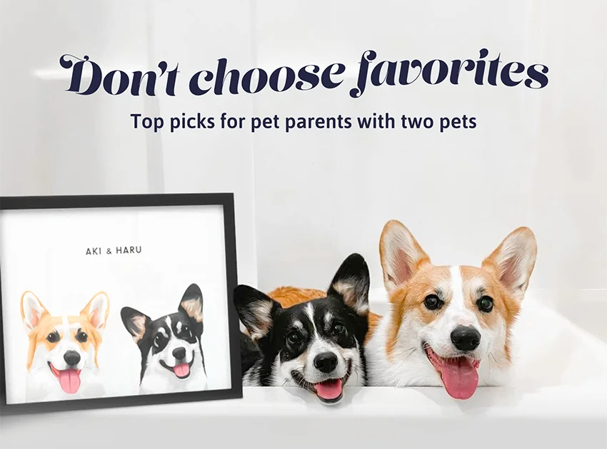 Don't choose favorites. Top picks for pet parents with two pets