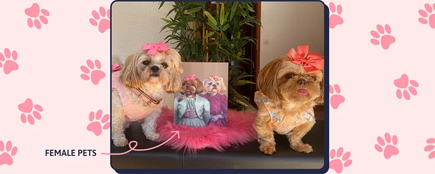 Female Two Pet Portrait