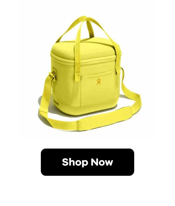 12 L Carry Out™ Soft Cooler - Cactus