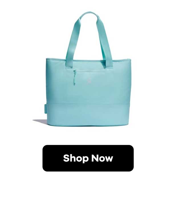 20 L Insulated Tote - Alpine