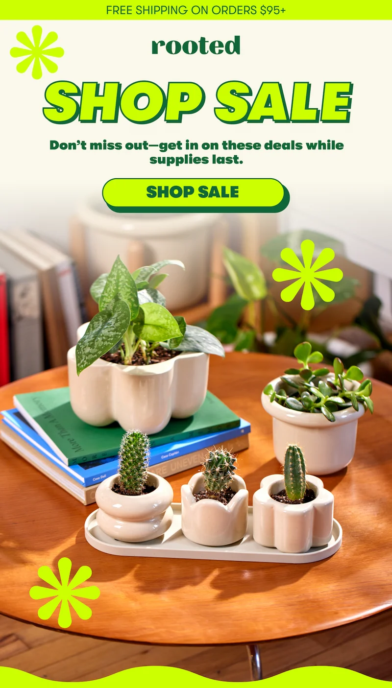 SHOP SALE Don't miss out-get in on these deals while supplies last [SHOP SALE]