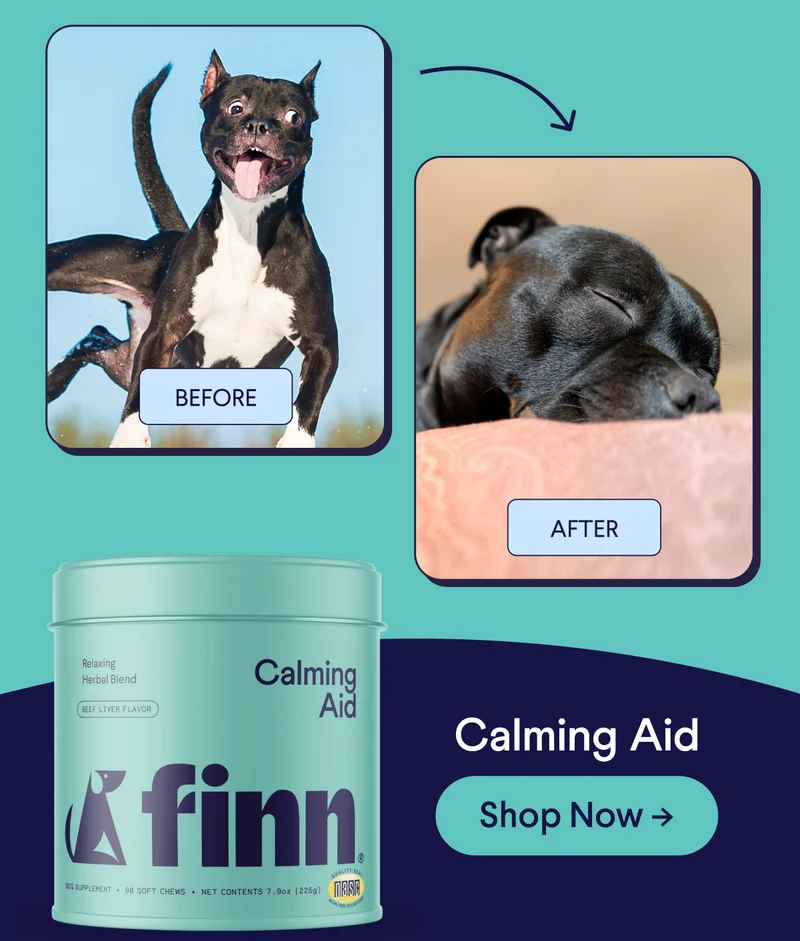 Before Calming Aid (crazy dog) –> After (chill pup) | Shop Now –>