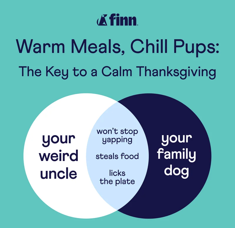 Warm Meals, Chill Pups: The Key to a Calm Thanksgiving – Calming Aid!