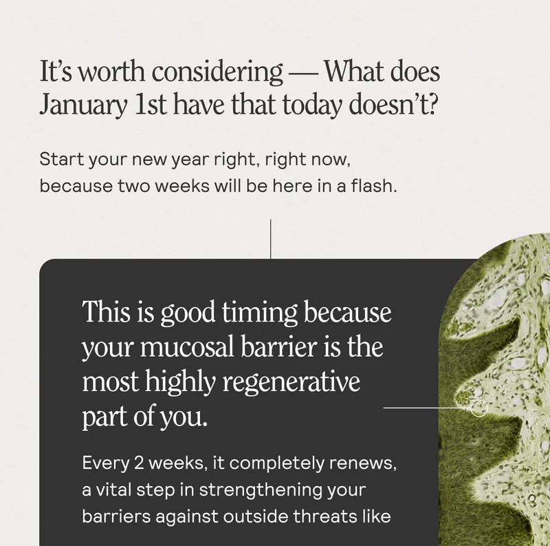 It's worth considering What does January 1st have that today doesn't? Start your new year right, right now, because two weeks will be here in a flash. This is good timing because your mucosal barrier is the most highly regenerative part of you. Every 2 weeks, it completely renews, a vital step in strengthening your barriers against outside threats like