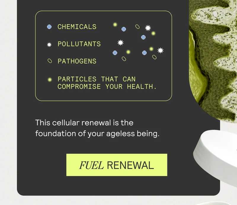 CHEMICALS • * POLLUTANTS O PATHOGENS • PARTICLES THAT CAN COMPROMISE YOUR HEALTH. This cellular renewal is the foundation of your ageless being. FUEL RENEWAL